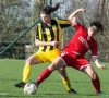 Les filles du Lierse croient en leur potentiel