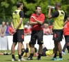 Voici pourquoi Wilmots ne place pas la Belgique en tant que favori de l'Euro