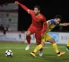 Le Lierse poursuit sa belle remontée en enfonçant plus Tubize