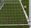 La goal-line technology pose question en Ligue 1