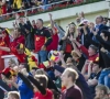 Découvrez le fanguide pour le match Ecosse - Belgique !