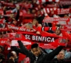 Un grand talent formé à Anderlecht progresse bien au Benfica et s'entraîne avec l'équipe A 