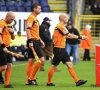 Plus de Delferière et de Vertenten, deux nouveaux arbitres ont été nommés pour les matchs internationaux