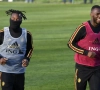 Michy Batshuayi et Christian Benteke pas conservés par Palace au terme de la saison ?