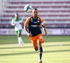 Fin de carrière pour le légendaire capitaine de Montpellier 