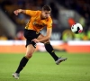 D'Anderlecht à Wolverhampton, le choix gagnant de Leander Dendoncker 