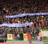 "Merci Bart Verhaeghe": Pas de stade pour l'Euro? Les supporters désignent un responsable 