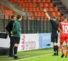 Le coach de Vojvodina déçu : "Nous méritions la victoire contre le Standard"