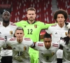 Vers une sélection d'Axel Witsel pour l'Euro 