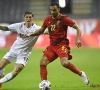 Nacer Chadli et Boli Bolingoli battus dans le derby d'Istanbul