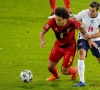 Witsel et Meunier suspendus : qui pour les remplacer face au Danemark ?