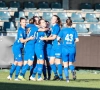 Coupe de Belgique féminine: les Genk Ladies croquent les Zébrettes 