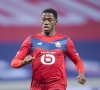 Bonne nouvelle pour Jonathan David et le LOSC