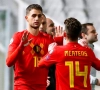 Adnan Januzaj vers la Serie A ?