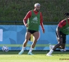 Yannick Carrasco évoque sa position chez les Diables : "Je suis plus un attaquant qu'un piston"