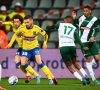 Westerlo bat le Patro Eisden en match amical