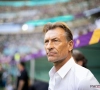 Hervé Renard fait partie des candidats au poste de sélectionneur des Diables 