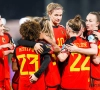 La Belgique un peu plus près de l'organisation d'une Coupe du Monde : un candidat se retire 