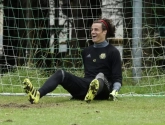 Svilar fait-il le bon choix en rejoignant Benfica ?