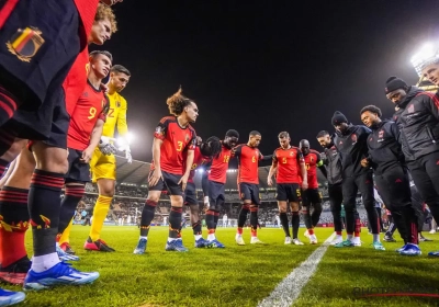 Excellente nouvelle : les Diables vont sortir du Roi Baudouin et jouer dans les stades des clubs durant les éliminatoires de la Coupe du Monde !