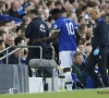 Premier League : Lukaku et Mirallas défaits à Southampton