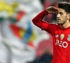 Liga NOS : Benfica facile face à Moreirense 